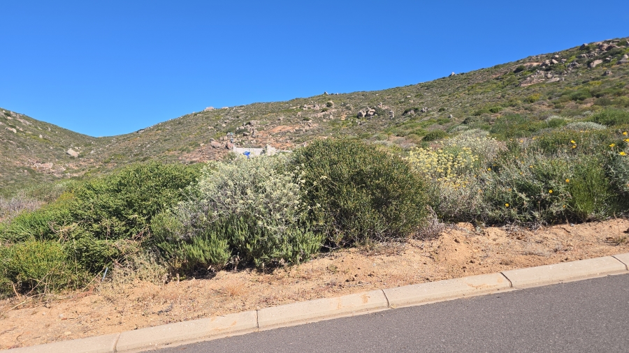 0 Bedroom Property for Sale in St Helena Views Western Cape